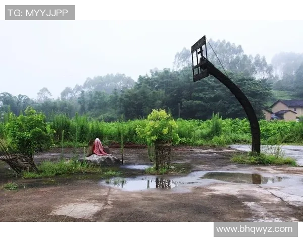 姚明携手佳能相机探索摄影艺术之旅展现运动与静态的完美结合